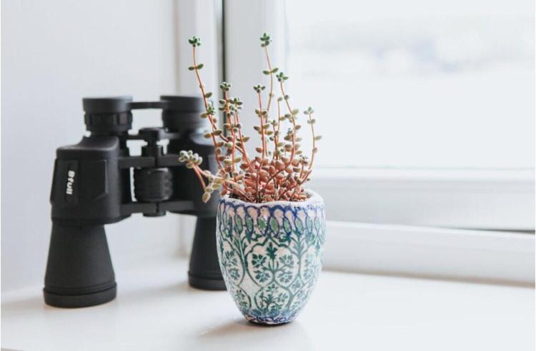 Appartamento Star & Garter Falmouth Esterno foto